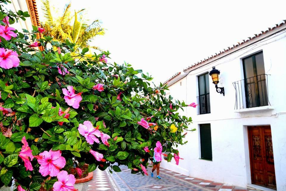 Beautiful Apartment With Sea Views, Benal Beach Benalmadena Luaran gambar